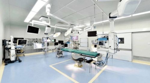 光谷4家公司13天內密集IPO獲受理，駕考寶典領跑移動互聯網技術開發領域